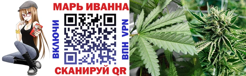 Конопля сатива Красный Кут